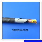 阻燃电缆ZRA-BVP价格 ZRHYAP22 通信电缆
